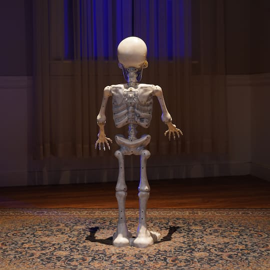 3ft. Animated Skeleton Porch Greeter by Ashland®